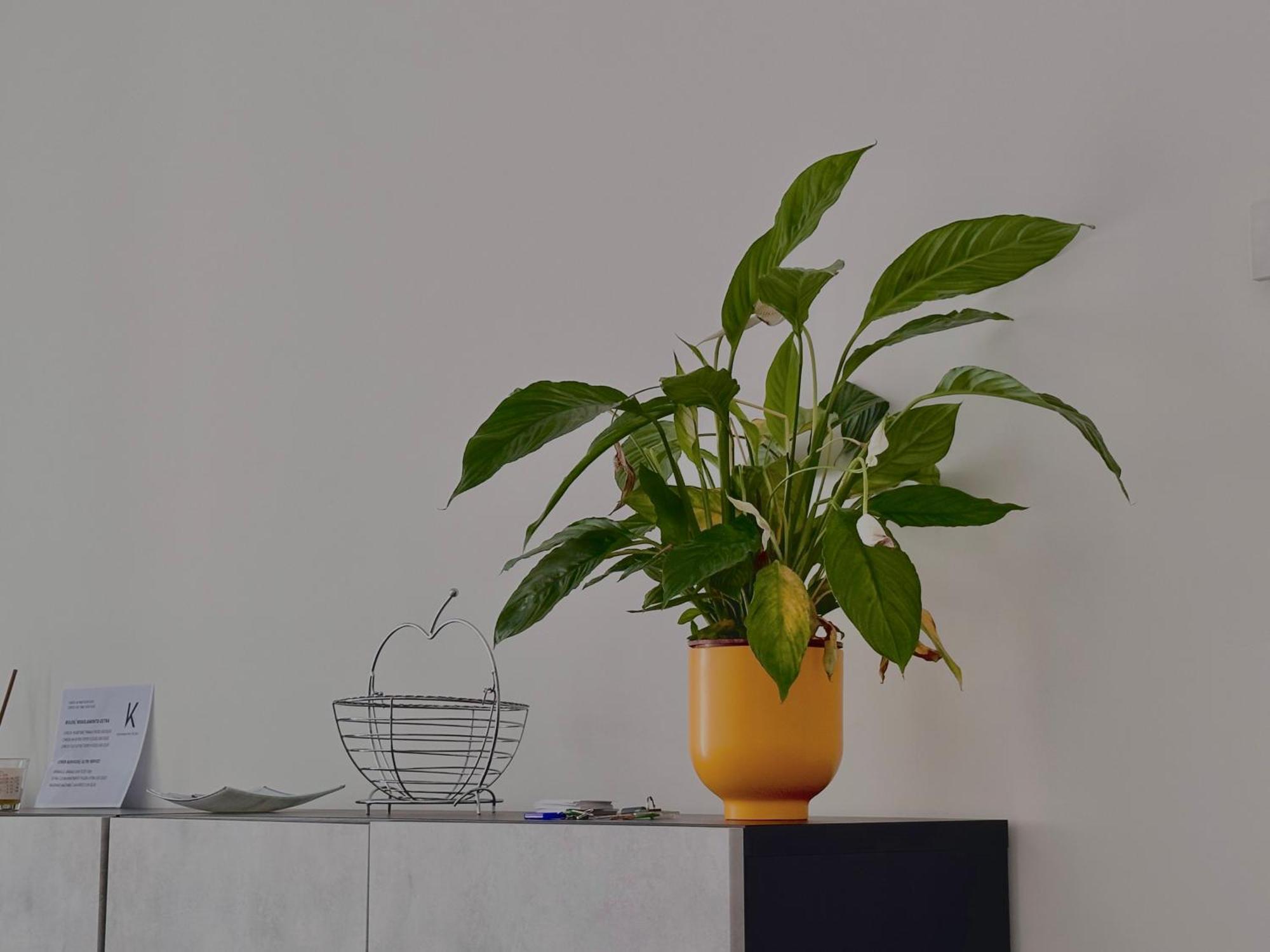 K House Apartment Bari Bagian luar foto